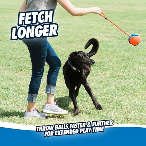 Chuckit! Rope Fetch Dog Toy, Ball on Rope, Durable EVA Rubber, 5.5-in