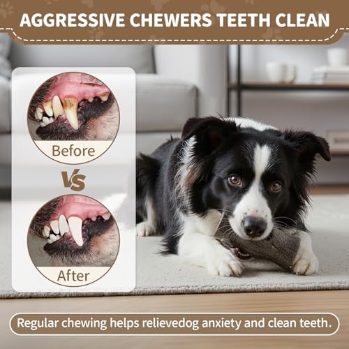 Dog Toys for Aggressive Chewers, Frozen Treat Holder Interactive Chew Toy