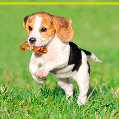 PetSport Naturflex Monkey - Squeaky Latex Rubber Dog Toys, Interactive Play for Small & Medium Dogs, Puppy Toy with Squeaker, Soft & Durable Pet Product - 6"