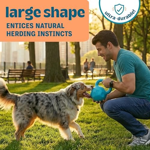 Flex-Force Herding Ball Dog Toy, Tug Handle & Unpredictable Bounce, Floats in Water, Blueberry-Apple Scent for Sensory Play, Tough Chewers, Large Breeds (60-100+ lbs), 6.6"