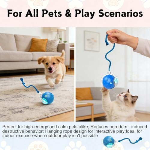 2PCS Interactive Cat Toys Ball, Tiny Fetch Interactive Dog Cat Toy Ball - 360° Automatic Scrolling with Birdsong, Smart Obstacle Avoidance, Rechargeable Boredom Buster for Pets (Blue+Red)
