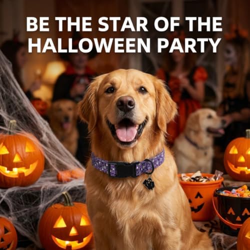 Halloween Dog Collar, Purple Puppy Collar for Medium Dogs, M