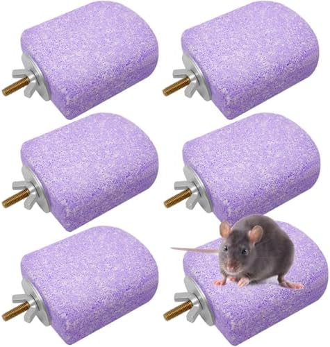 Lava Ledges for Rats 6 Pack Hamster Climbing Ledge Platform Pumice Ledge Shelf Pet Chewing Grinding Toys Small Animals Cage Accessories for Mouse Guinea Pig Gerbil Purple