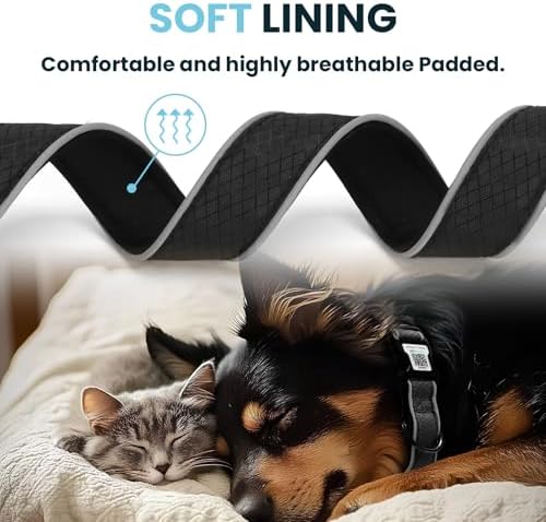 Reflective Personalized Dog Collar, Large Dogs, Black, L (15.7"-23.6")