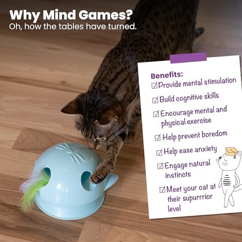 Catstages 2-in-1 Dart N’ Dash Electronic Feather Cat Toy, Motion-Activated, Ball Track Add-On, Blue