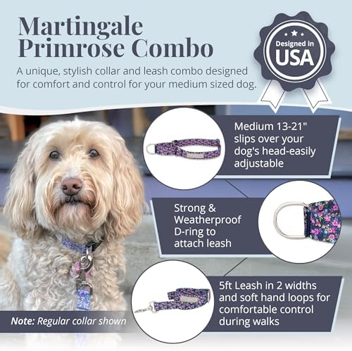 Lucky Love Dog Martingale Collar & Leash Set No Slip – Primrose, Medium