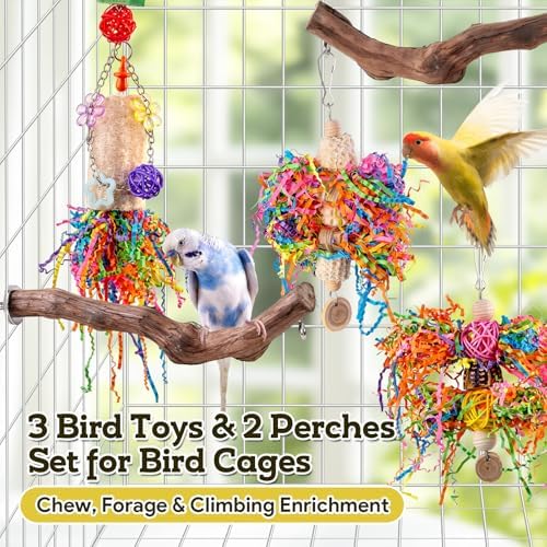 Bird Toys, Parakeet Foraging Toys, Hanging Chewing Toys with Natural Wooden Perches, Bird Cage Accessories, Suitable for Parakeets, Cockatiels, Budgies, Lovebirds & More