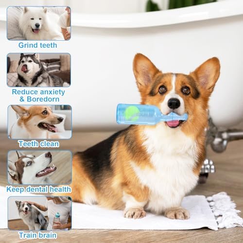 Blue Water Bottle Dog Toy for Aggressive Chewers Small Medium Dogs