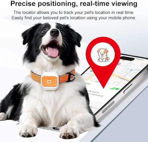 Pet GPS Tracking Collar for Fence & Dog Training with Wireless Monitoring, No Subscription, Waterproof, Long Battery Life, iOS & Android App (15-22 inches, Large)