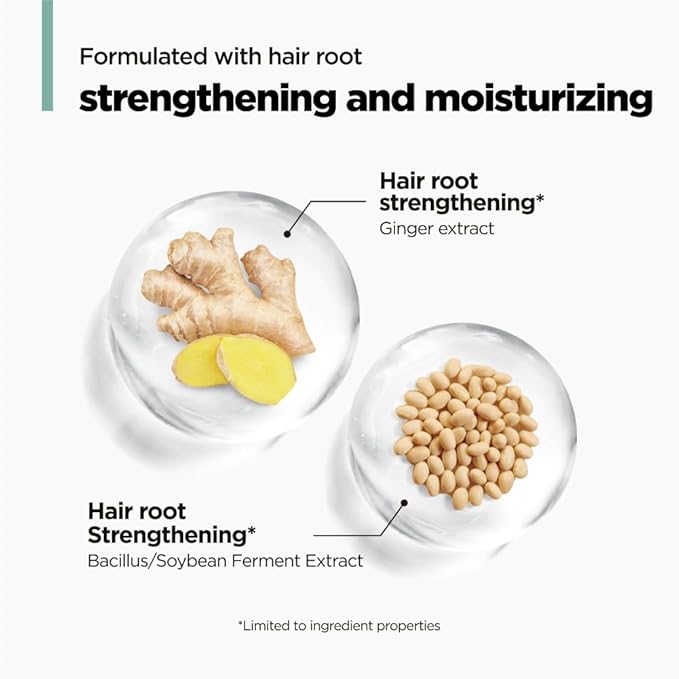 AMOS PROFESSIONAL The Green Tea Shampoo Refresh for Thinning Hair, Korean Shampoo for Oily Scalp l Deep Cleans, Strengthening Hair, All Hair Types, 16.9 fl. oz.