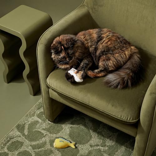 Premium Plush Cat Toy - Mahi Mahi & Polar Bear Toy, Eco Friendly