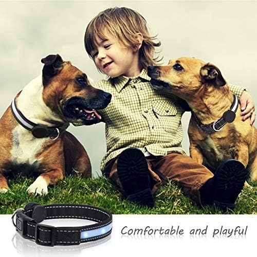 Light Up Dog Collars, Safety LED Dog Collar Rechargeable 7 Colors in One Lighted Dog Collar Glow in The Dark Dog Walking Light, Neon Durable Nylon Adjustable Buckle for Small/Medium/Large Dogs, L Size