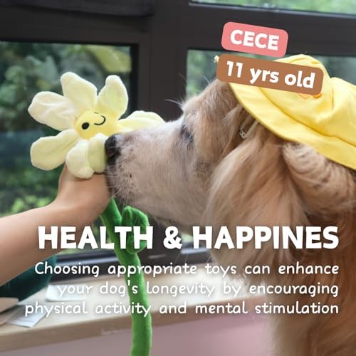 CECE PAW Interactive Puppy Plush Toys - Crinkle Flower Rope Toy, Chew Toys for Teething for Small & Medium Dogs