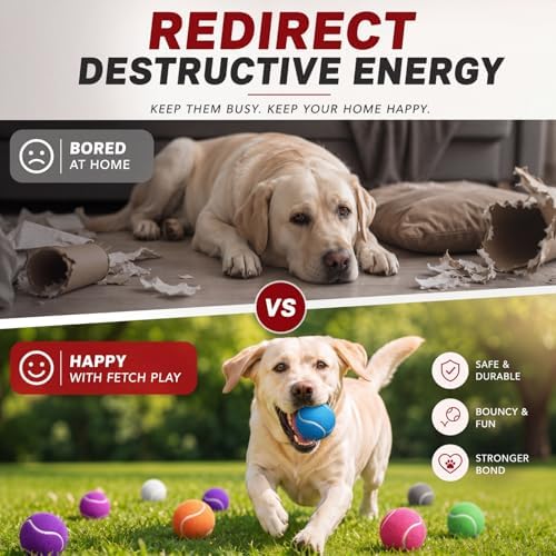 Yunsailing 30 Pcs Dog Tennis Balls 2.4 Inch Dogs Toy Balls Bright Colors Pet Training Toy for Small Medium Large Puppy Indoor Outdoor Interactive Training Exercise Games