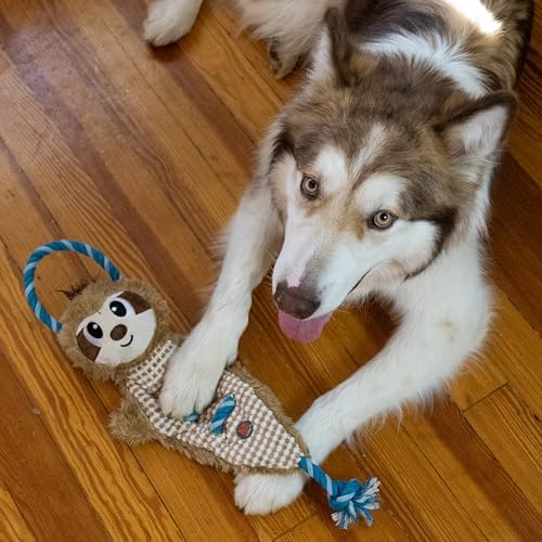 Outward Hound by Charming Pet Ropiez Rope Interactive Dog Tug Toy for Tugging Squeaky Fun, Sloth, Brown