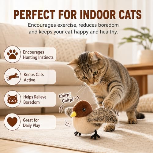 Flying Bird Cat Toy (Not a Flying Bird) – Interactive Flappy Bird Toy for Indoor Cats, USB Rechargeable with Real Feathers, Chirping Sounds & Remote Control