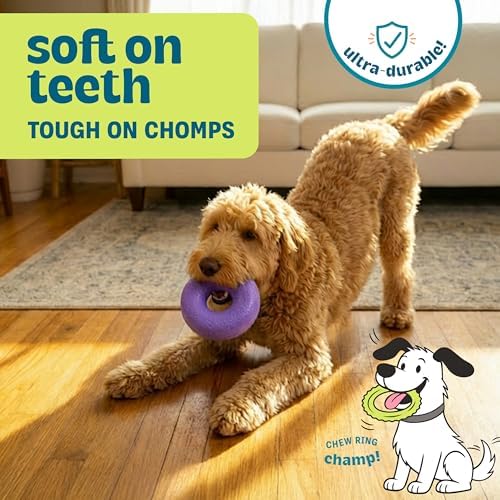 Flex-Force Ring Dog Toy for Fetch & Chew, Solid Core & Floats in Water, Vanilla-Roast Scent for Sensory Play, Power Chewers, All Breed Sizes, 4.6"