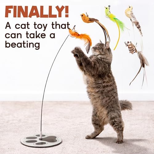 Bird Toy for Cats - 5 Pack Natural Feathers Stable Round Base - Interactive Wand Teaser - Self Play Hunting Enrichment - Bored Indoor Adult Feline Activity - Stimulating Kitten Juguetes para Gatos