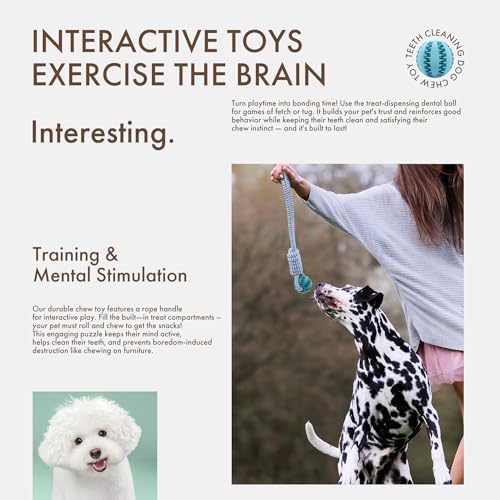 Mira's Pocket Indestructible Chew Toy for Aggressive Chewers - Durable Rubber Dog Teething Ball with Rope, Boredom Relief Puppy Toys (Blue, Small) (Green, Large)