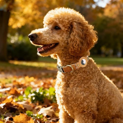 Airtag Dog Collar, Adjustable Caramel Collar w Airtag Holder for Small Dog