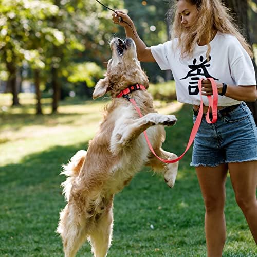 Reflective Dog Collar, Quick-Release Buckle (Coral, 10-13 Inch)