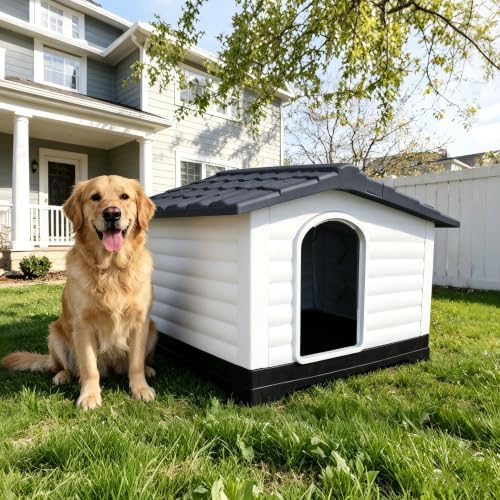 2-Door Small Dog House with Fold-Out Porch and Elevated Base, Gray