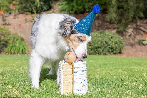 Chuckit! Birthday Fetch Ball, Medium (2.5 Inch Diameter), for Dogs 20-60 lbs (Pack of 12)