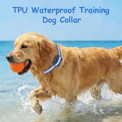 TPU Waterproof Dog Collar Replacement Strap,Easy-Clean,Odor-Resistant e Collar Strap, Shock Collar Replacement Strap Designed for Daily Training and Evening Walks.