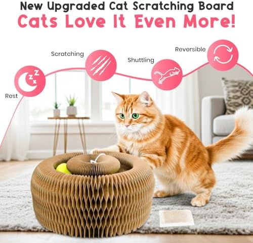 Kitty Curls Cat Toy (Large) Twisty Paws Kurlz | Magnetic Magic Organ Cat Scratcher | Interactive Cardboard with Bell Ball & Hanging Teaser | Honeycomb Design | 1 pcs Teaser 1 pcs Scratcher