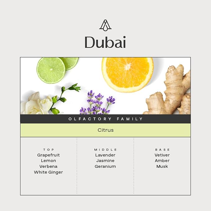 AromaPlan Hotel Scent Diffuser Oil, Dubai 15 mL, 0.5 Fl.oz - Luxury Fragrance Oil in Dropper Bottle for Aromatherapy - Essential Oil Scent Diffuser, USA Made