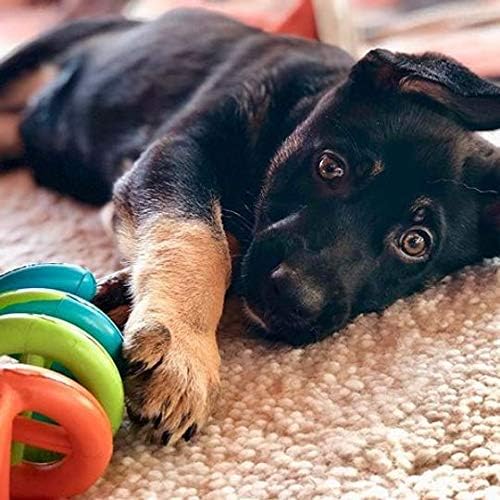 JW Pet Dogs in Action Dog Toy, Small (Assorted Colors) (Pack of 4)