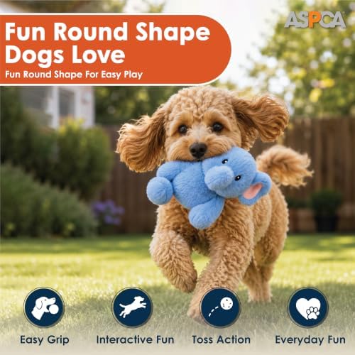 ASPCA Plush Squeaky Dog Toy for Small, Medium & Large Dogs – Soft Round Plush Pet Toy with Full Body Squeaker, Lightweight Fetch Toy for Indoor Play, Cuddling & Enrichment, Elephant