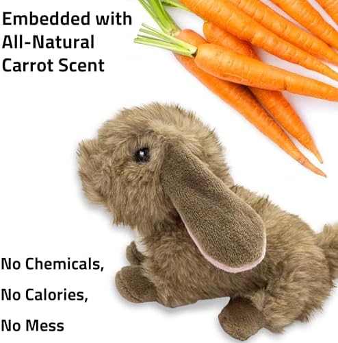 Playology Plush Bunny Dog Toy - Squeaky Dog Toy - Small, Carrot Scent