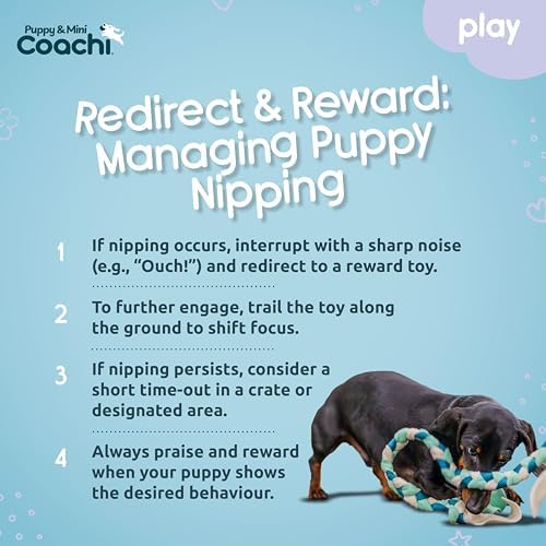 Coachi Puppy & Mini Tuggi Tug - Dog Toy for Tug of War & Play