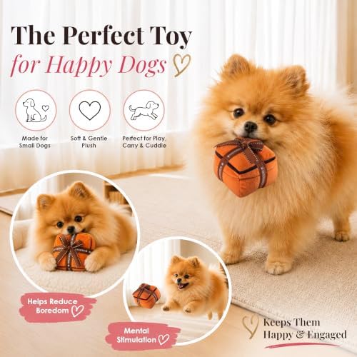 Dog Diggin Designs Hairmes Box Plush Dog Toy – Fashion Inspired Squeaky Parody Dog Toy, Soft Luxury Style Gift Box Toy for Small to Medium Dogs, Cute Interactive Pet Toy