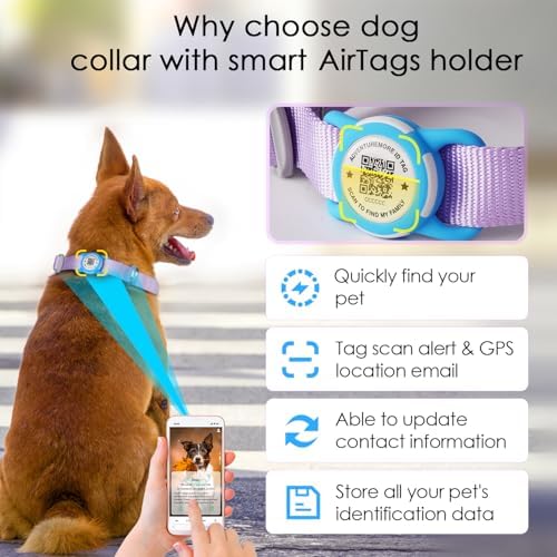 ADVENTUREMORE Airtag Dog Collar with Smart ID QR Code Airtags Holder: Prevents Dogs from Getting Lost at Night, Displays Owner and Pet Details. Waterproof, Durable, Adjustable, Thick-Purple-M