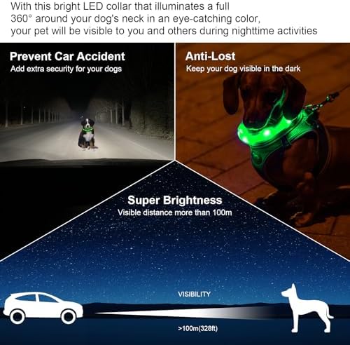 CHUKCHI LED Dog Collar Rechargeable,Waterproof Flashing Collar,Light Up Glow Collar, Adjustable Soft Safety Light Up for Small Medium Large Dogs Walking Camping at Night (Green-S)
