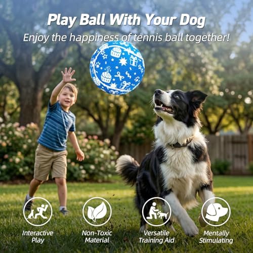 QDAN Dog Gifts, Puppy Dog Birthday Toys, Tennis Ball for Dogs, 9.5 Inch