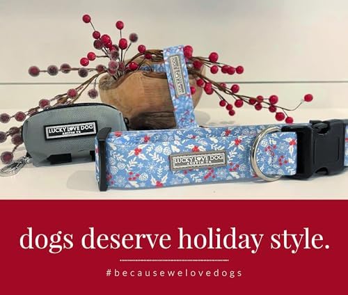 Lucky Love Dog Martingale Collar & Leash Set No Slip – Winter Blue, Small