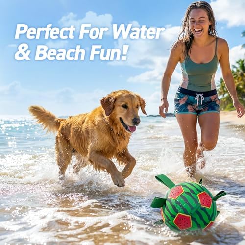 QDAN Dog Water Pool Toys: Dog Soccer Ball with Straps, Waterproof Dog Balls Swimming Beach Balls for Summer Outdoor Games (6 Inch)