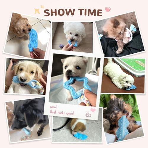5 Pack Puppy Chew Toys for Small Dogs,Puppy Teething Toys for Small Puppies,Soft Rubber Dog Toys for Small Breed Interactive Chew Toys to Keep Them Busy (Blue)