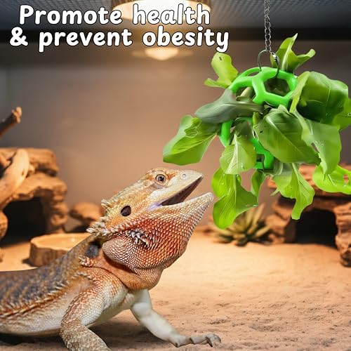 Bearded Dragon Enrichment Toys Feeding Tongs Accessories, Veggie Feeder Ball and Feeding Tongs with Rubber Tip, Greens Training Kit for Reptile Lizard Gecko, Reptile Tank Accessories (Green)