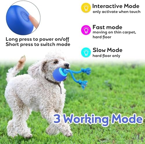 Interactive Dog Toys to Keep Them Chase Busy Buddy Doggie Ball for Small Puppy(Blue)