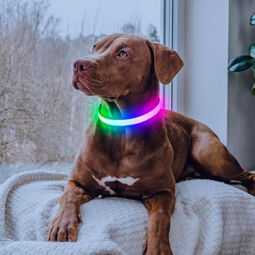 Flashseen Multicolor LED Light Up Dog Collar, RGB 9-Mode, USB Rechargable