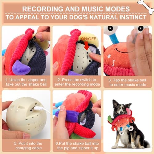 BABORUI Interactive Dog Toys Crab, Jumping Squeaky Dog Toys with Recording and Music Modes, Rechargeable Moving Dog Chew Toys for Small/Medium/Large Dogs to Keep Them Busy(Crab)
