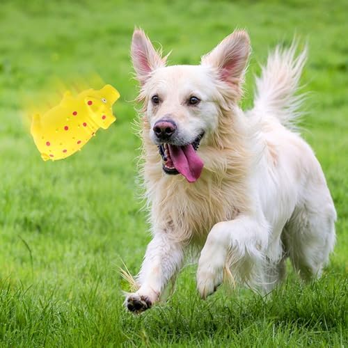 Squeaky Pig Dog Toys, Interactive Durable Latex Rubber that Oink Pig Chew Toy for Medium Large Dogs 2 Pack (Blue +Yellow)