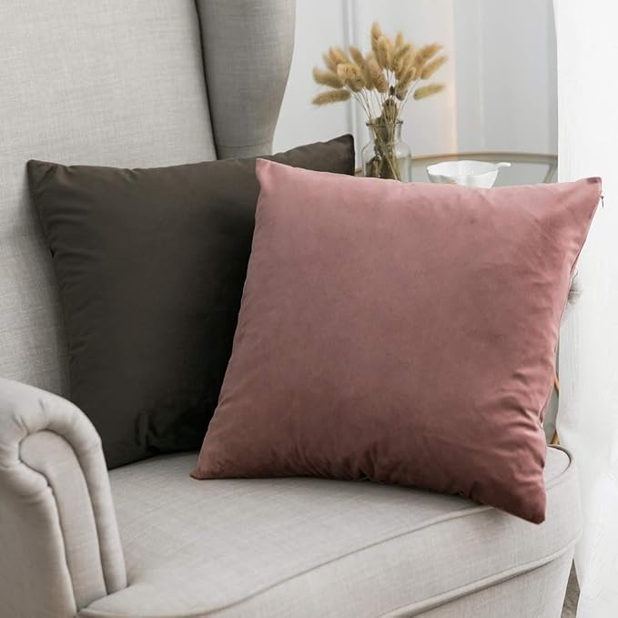MIULEE Velvet Throw Pillow Covers 16x16 Inch Pack of 2 Jam | Soft Solid Small Decorative Pillow Covers, Modern Luxury Home Decor, for Couch Chair Sofa Bedroom Livingroom Car