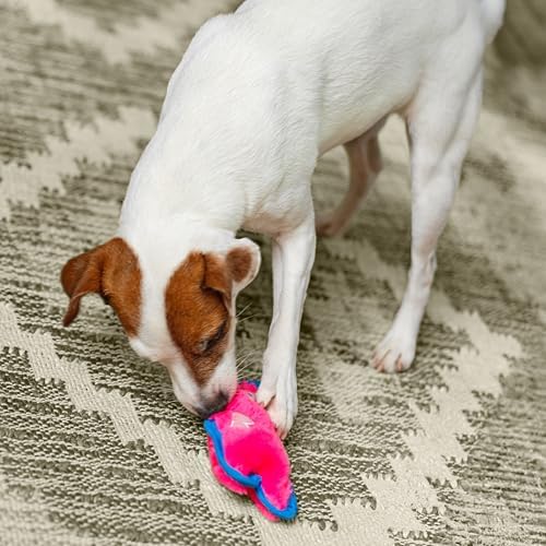 Outward Hound Durablez Minis Tough Chew Plush Squeaky Dog Toy, Pig, 6.8"