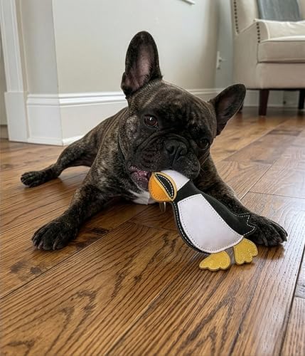 SPOT Dura-Fused Colors Leather Puffin Dog Toy, Squeaker Inside, All-Natural Leather, Heavy-Duty Stitching on Stress Points, Rip-Resistant, Multi-Texture Chew Toy, for Small to Medium Dogs, 8.5 Inch