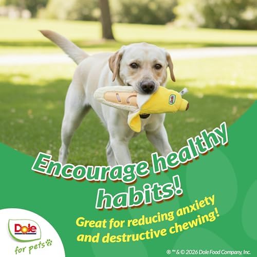 Dog Puzzle Toy with Squeaker, Banana Snuffle Dog Treat Toy for Small and Medium Dogs, Dog Enrichment Toys